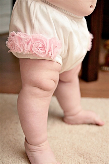 Shabby Roses Diaper Cover